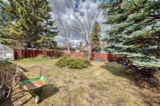 Photo 39: 5420 Dalrymple Crescent NW in Calgary: Dalhousie Detached for sale : MLS®# A2126509