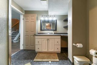 Photo 36: 71 APPLEMEAD Close in Calgary: Applewood Park Detached for sale : MLS®# A2055936