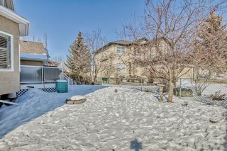 Photo 48: 56 Scimitar Point NW in Calgary: Scenic Acres Detached for sale : MLS®# A2033816