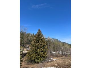 Photo 19: 201 JOLIFFE WAY in Rossland: Vacant Land for sale : MLS®# 2475917