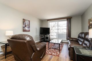 Photo 7: 302 500 Stradbrook Avenue in Winnipeg: Osborne Village Condominium for sale (1B)  : MLS®# 202209200