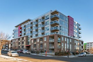 Photo 1: 315 88 9 Street NE in Calgary: Bridgeland/Riverside Apartment for sale : MLS®# A2020381