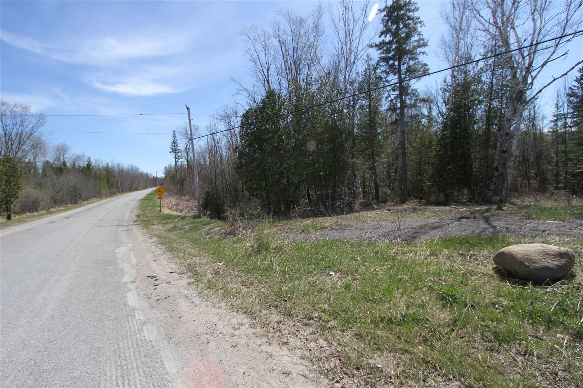 Main Photo: 259 County Rd 41 Road in Kawartha Lakes: Rural Bexley Property for sale : MLS®# X5210398