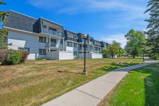 Photo 23: 2310 3115 51 Street SW in Calgary: Glenbrook Apartment for sale : MLS®# A2056472