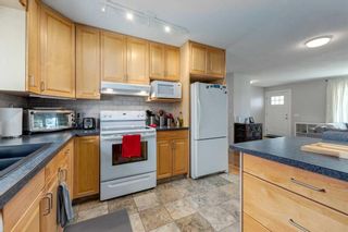 Photo 10: 69 Dovercliffe Close SE in Calgary: Dover Detached for sale : MLS®# A2129385