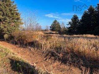 Photo 11: Lots 3 & 4 Brooks Road in Ashmore: Digby County Vacant Land for sale (Annapolis Valley)  : MLS®# 202225766