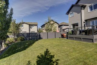 Photo 40: 17 Cranberry Lane SE in Calgary: Cranston Detached for sale : MLS®# A1142868