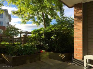 Photo 14: 120 9500 ODLIN Road in Richmond: West Cambie Condo for sale : MLS®# R2276842
