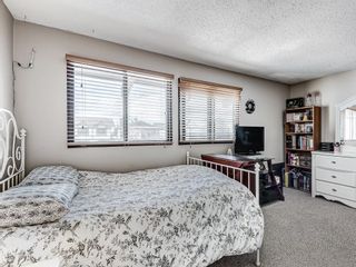 Photo 31: 127 TEMPLEBY Place NE in Calgary: Temple Detached for sale : MLS®# A1210227