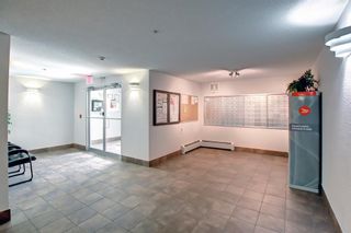 Photo 17: 2301 6224 17 Avenue SE in Calgary: Red Carpet Apartment for sale : MLS®# A2027304