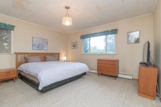 Photo 18: 601 Richmond Ave in Victoria: Vi Fairfield East House for sale : MLS®# 905372