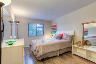 Photo 8: 201 12170 222 Street in Maple Ridge: West Central Condo for sale : MLS®# R2019001