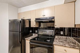 Photo 9: 3413 1620 70 Street SE in Calgary: Applewood Park Apartment for sale : MLS®# A1258533