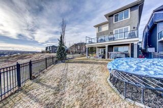 Photo 4: 69 Evansborough Green NW in Calgary: Evanston Detached for sale : MLS®# A2119653