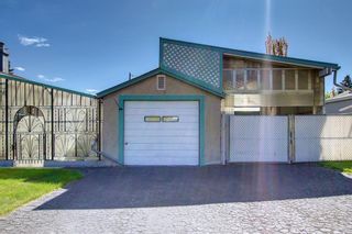 Photo 43: 2002 44 Street SE in Calgary: Forest Lawn Detached for sale : MLS®# A1222886