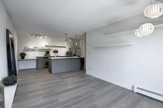 Photo 11: 203 809 4 Street NE in Calgary: Renfrew Apartment for sale : MLS®# A2118564