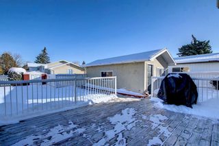 Photo 37: 15 Oxbow Street: Red Deer Detached for sale : MLS®# A2011608