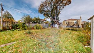 Photo 38: 119 Gilley Road in Toronto: Downsview-Roding-CFB House (Bungalow) for sale (Toronto W05)  : MLS®# W7031808