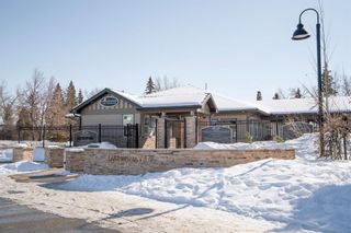 Photo 37: 1204 Lake Twintree Drive SE in Calgary: Lake Bonavista Detached for sale : MLS®# A2032946