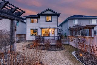 Photo 35: 39 Silverado Skies Manor SW in Calgary: Silverado Detached for sale : MLS®# A2122875