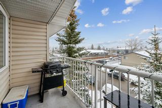 Photo 19: 301 4327 75 Street NW in Calgary: Bowness Apartment for sale : MLS®# A2124408