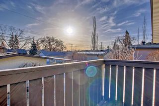 Photo 42: 6320 Tregillus Street NW in Calgary: Thorncliffe Detached for sale : MLS®# A2110386