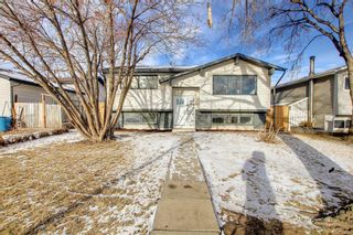 Photo 1: 212 Rundlefield Road NE in Calgary: Rundle Detached for sale : MLS®# A1166043