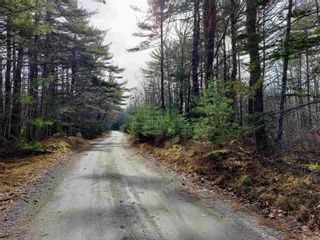 Photo 22: Lot Bowers Road in Lower Ohio: 407-Shelburne County Vacant Land for sale (South Shore)  : MLS®# 202302336