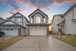 Photo 1: 176 Skyview Shores Manor NE in Calgary: Skyview Ranch Detached for sale : MLS®# A2132968