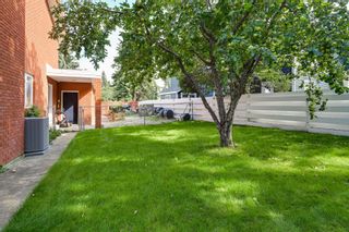 Photo 31: 8724 137 Street in Edmonton: Zone 10 House for sale : MLS®# E4263634