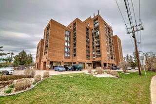 Photo 4: 913 8604 48 Avenue NW in Calgary: Bowness Apartment for sale : MLS®# A2126675