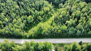 Photo 6: LOT 27 NUKKO LAKE ESTATES Road in Prince George: Nukko Lake Land for sale (PG Rural North (Zone 76))  : MLS®# R2595802