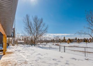 Photo 41: 53 Tanner Close SE: Airdrie Detached for sale : MLS®# A2035114