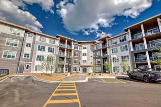 Photo 1: 2101 681 Savanna Boulevard NE in Calgary: Saddle Ridge Apartment for sale : MLS®# A2145062