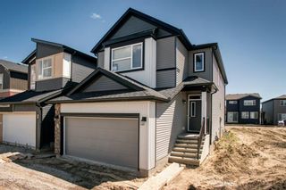 Photo 1: 38 Wolf Hollow Way SE in Calgary: C-281 Detached for sale : MLS®# A1013353