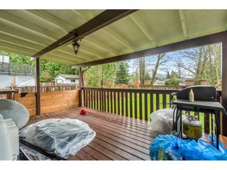 Photo 25: 24944 122 AVENUE in Maple Ridge: Websters Corners House for sale : MLS®# R2559311