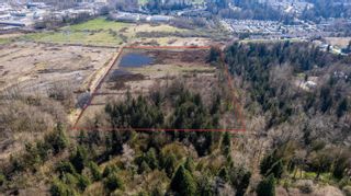 Photo 39: 33196 OLD RIVERSIDE Road in Abbotsford: Central Abbotsford House for sale : MLS®# R2865034
