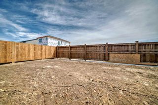 Photo 48: 146 Homestead Park NE in Calgary: C-686 Detached for sale : MLS®# A2128607