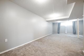 Photo 21: 55 Hirt Crescent in Winnipeg: River Park South Residential for sale (2F)  : MLS®# 202312766