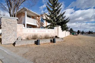 Photo 35: 10 388 Sandarac Drive NW in Calgary: Sandstone Valley Row/Townhouse for sale : MLS®# A1181075