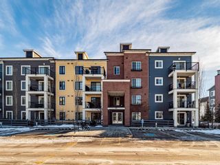 Photo 20: 1107 99 Copperstone Park SE in Calgary: Copperfield Apartment for sale : MLS®# A2023554
