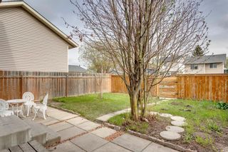 Photo 23: 30 Martindale Boulevard NE in Calgary: Martindale Detached for sale : MLS®# A1111096
