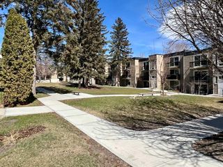 Main Photo: 307 315 Heritage Drive SE in Calgary: Acadia Apartment for sale : MLS®# A2124136
