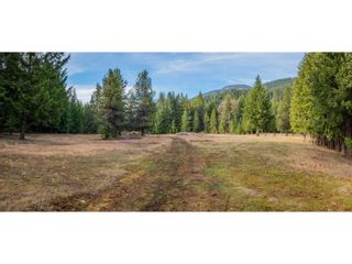 Photo 6: 2621 HIGHWAY 3A in Castlegar: House for sale : MLS®# 2475835