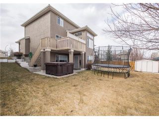 Photo 48: 34 CHAPALA Court SE in Calgary: Chaparral House for sale : MLS®# C4108128