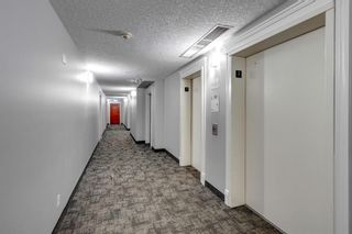 Photo 29: 302 208 Holy Cross Lane SW in Calgary: Mission Apartment for sale : MLS®# A2108851