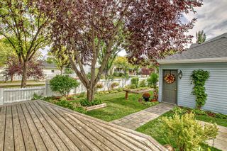 Photo 39: 223 Inverness Park SE in Calgary: McKenzie Towne Detached for sale : MLS®# A2080302