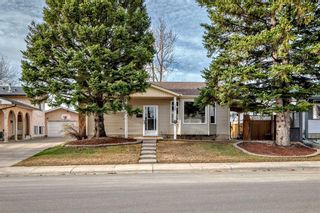 Main Photo: 135 Rundleview Drive NE in Calgary: Rundle Detached for sale : MLS®# A2126329