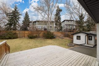 Photo 41: 8480 62 Avenue NW in Calgary: Silver Springs Detached for sale : MLS®# A1156340