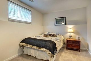 Photo 22: 38 Erin Meadow Crescent SE in Calgary: Erin Woods Detached for sale : MLS®# A2076102